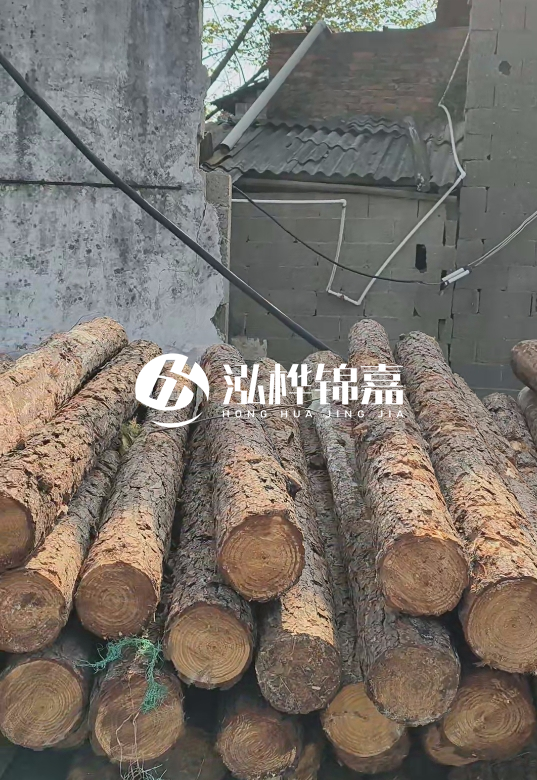 1.5米至2米長(zhǎng)松木樁價(jià)格表-10-12公分大概多少錢(qián)一根？