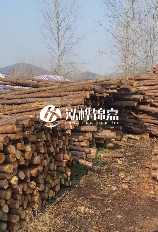 打杉木樁多少錢(qián)一根-一天能打多少根？