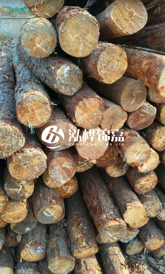 油松3米12公分多少錢(qián)一根？油松4米12公分多少錢(qián)一根？