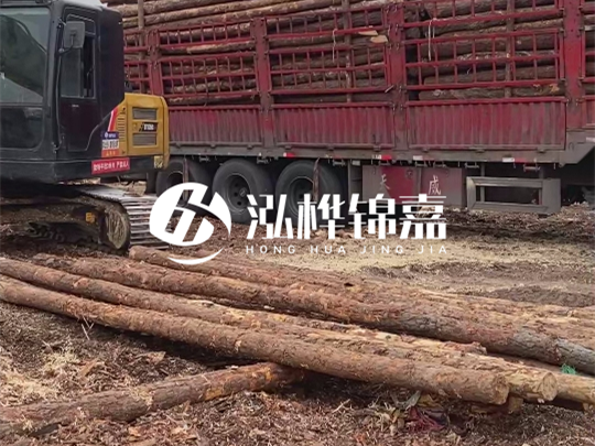 江西2米10-12松木樁多少錢(qián)一根？10-15公分價(jià)格又是多少？