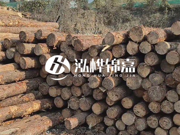 落葉松木材的主要產地在哪里？為什么比其他松木更耐腐蝕？