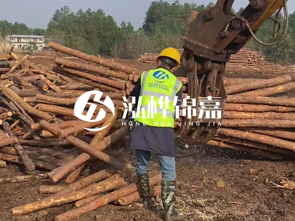 安徽松木樁選哪家-5米小頭10-12公分松木樁多少錢？