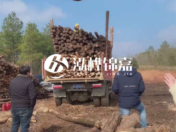 防腐木樁價格比普通木樁貴多少？防腐木樁有哪些處理方式？