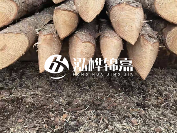 打樁木樁與鋼樁相比有哪些優(yōu)缺點？如何進行后期維護？