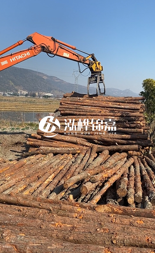帶皮松木樁的防腐效果如何？和不帶皮松木樁價格差異有多大？