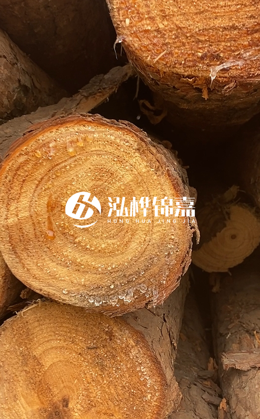 江西打樁木源頭廠家泓樺錦嘉-4米松木樁頭徑18cm多少錢？