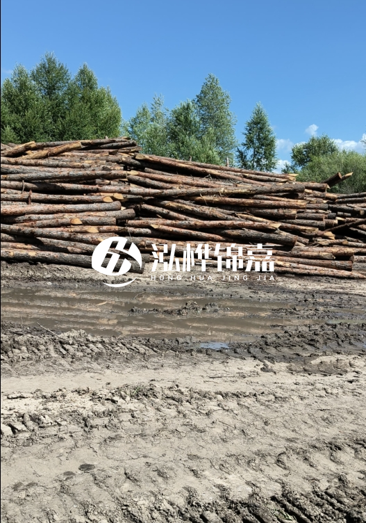 3米松木樁適合河道護(hù)坡嗎？小頭直徑8厘米的松木樁價格如何？