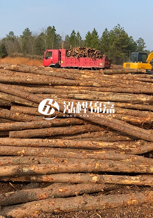 8米小頭11-13CM的松木樁價(jià)格是多少？打樁施工怎么算？