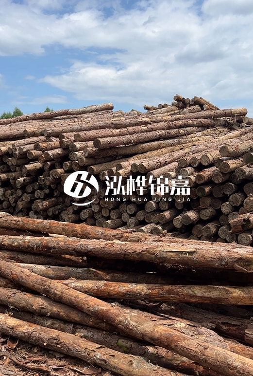 松木打樁木的價(jià)格波動(dòng)受哪些因素影響？杉木樁能代替松木樁嗎？