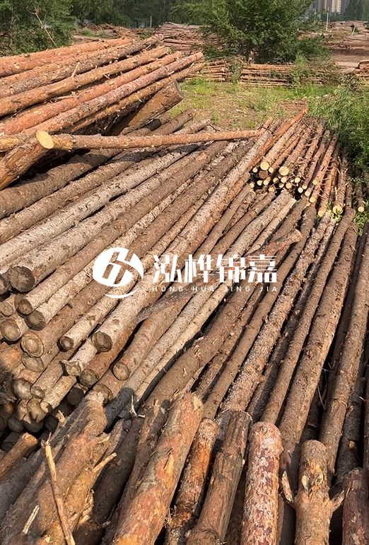 如何選擇合適的松木樁廠家？采購(gòu)松木樁需要考慮的因素有哪些？