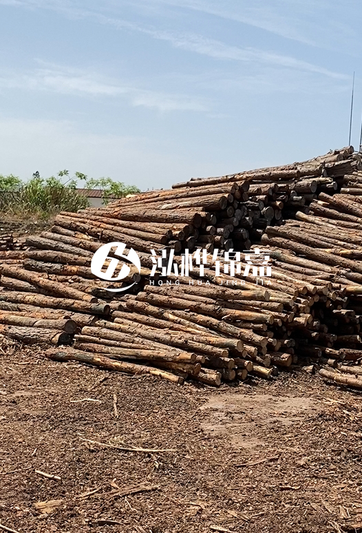 3.5米松木樁單價含稅怎么計算？碳化處理成本增加多少？