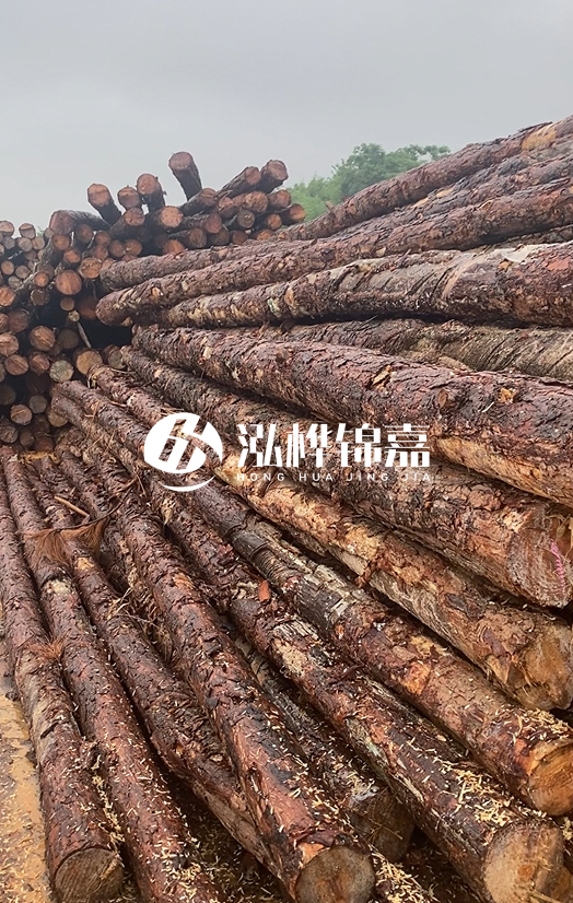 購買松木樁注意事項(xiàng)有哪些-不同直徑松木樁區(qū)別有哪些？