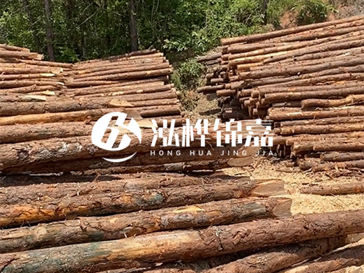 松木樁的運(yùn)輸費(fèi)用是否包含卸車費(fèi)？卸貨時需要注意哪些安全問題？