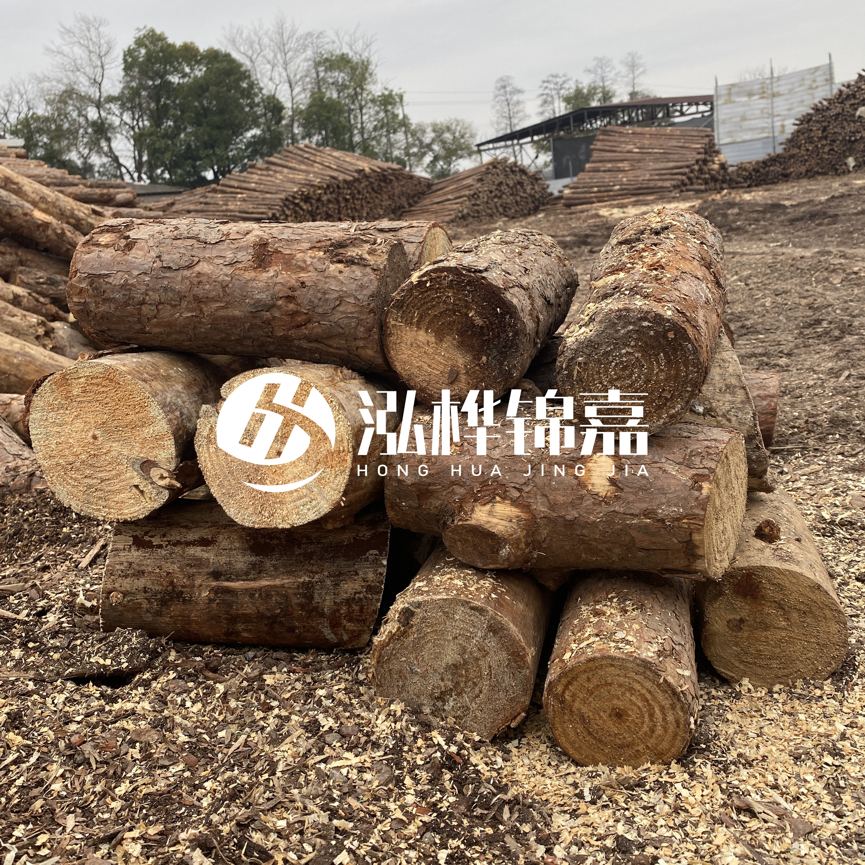 打樁木邊角料能做什么用途？怎么賣的？