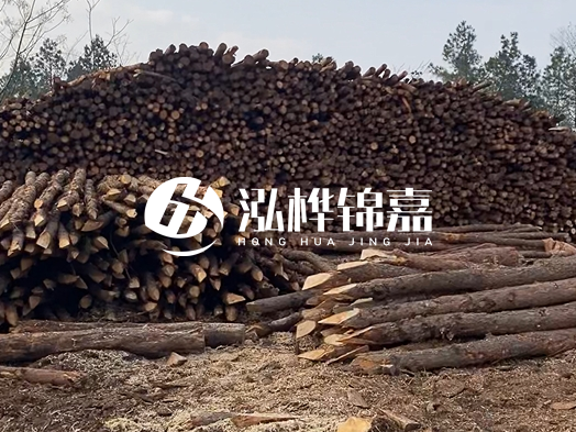 地基打木樁用什么木材 - 地基打木樁的能撐幾年？