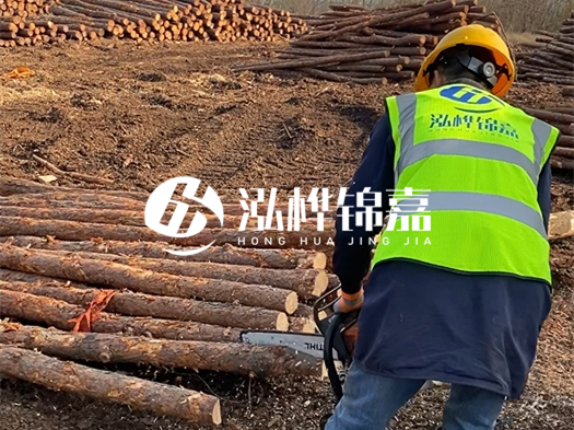 哪些木樁廠家能提供快速定制服務？哪些木樁廠家在國內有多個生產基地？