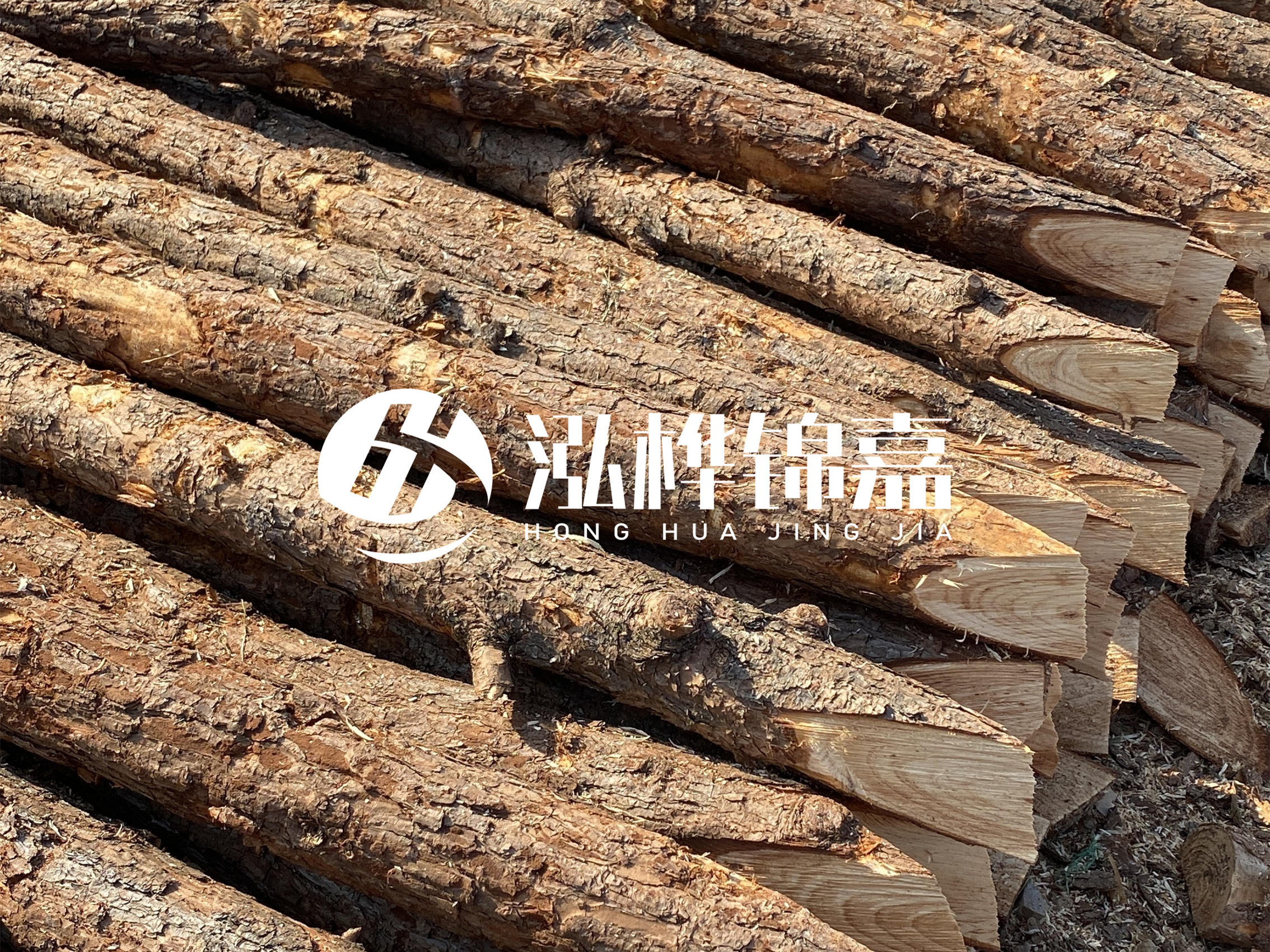 8 米超大直徑松木樁的價格是多少？帶皮和去皮松木樁價格差多少？