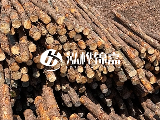 江西有哪些松木樁生產(chǎn)廠家？松木樁廠在什么位置？