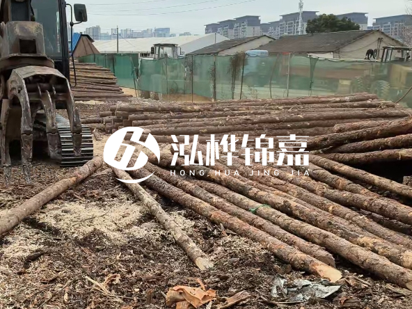 2 米長度松木樁多少錢？松木樁 10 一 15 公分價(jià)格？