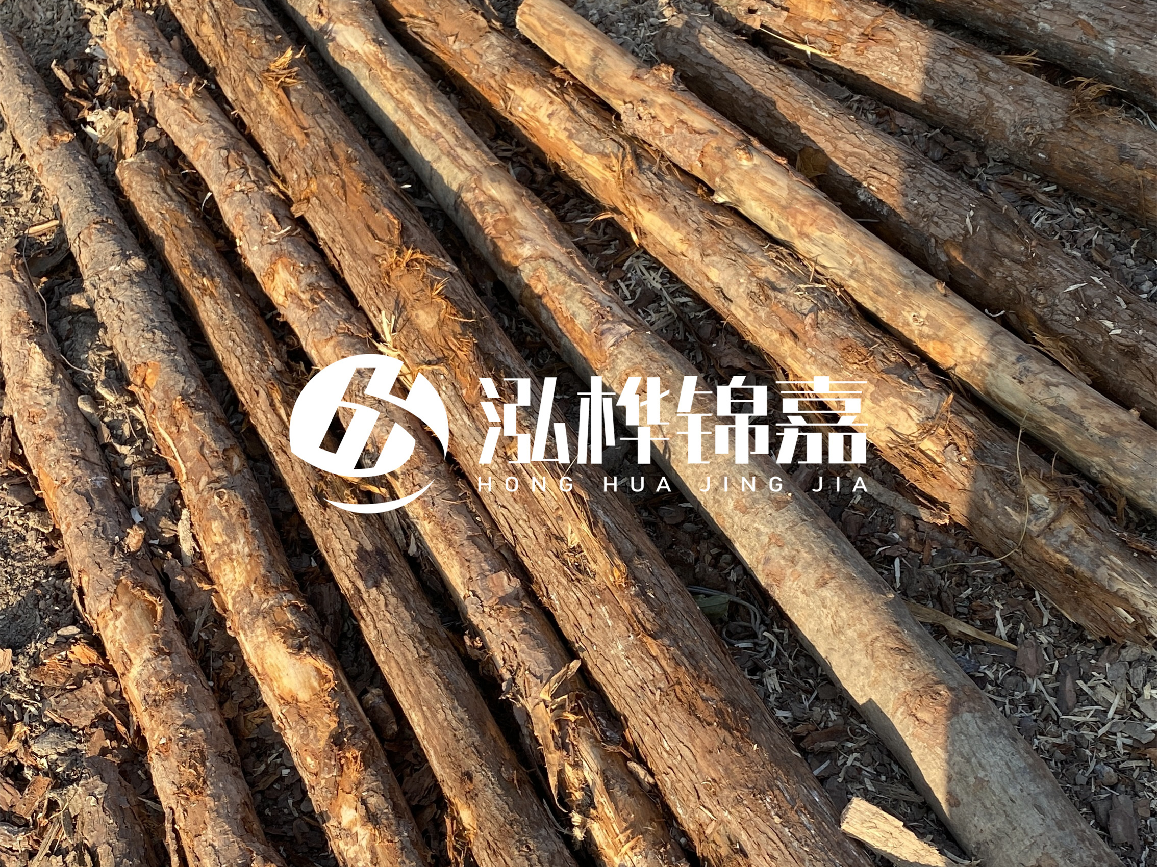 河道木樁多少錢一根？河道木樁的使用以及保養(yǎng)方法?