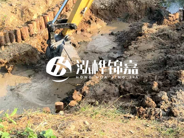 廣東松木樁批發(fā)廠家 - 3 米小頭 8CM 松木樁多少錢？