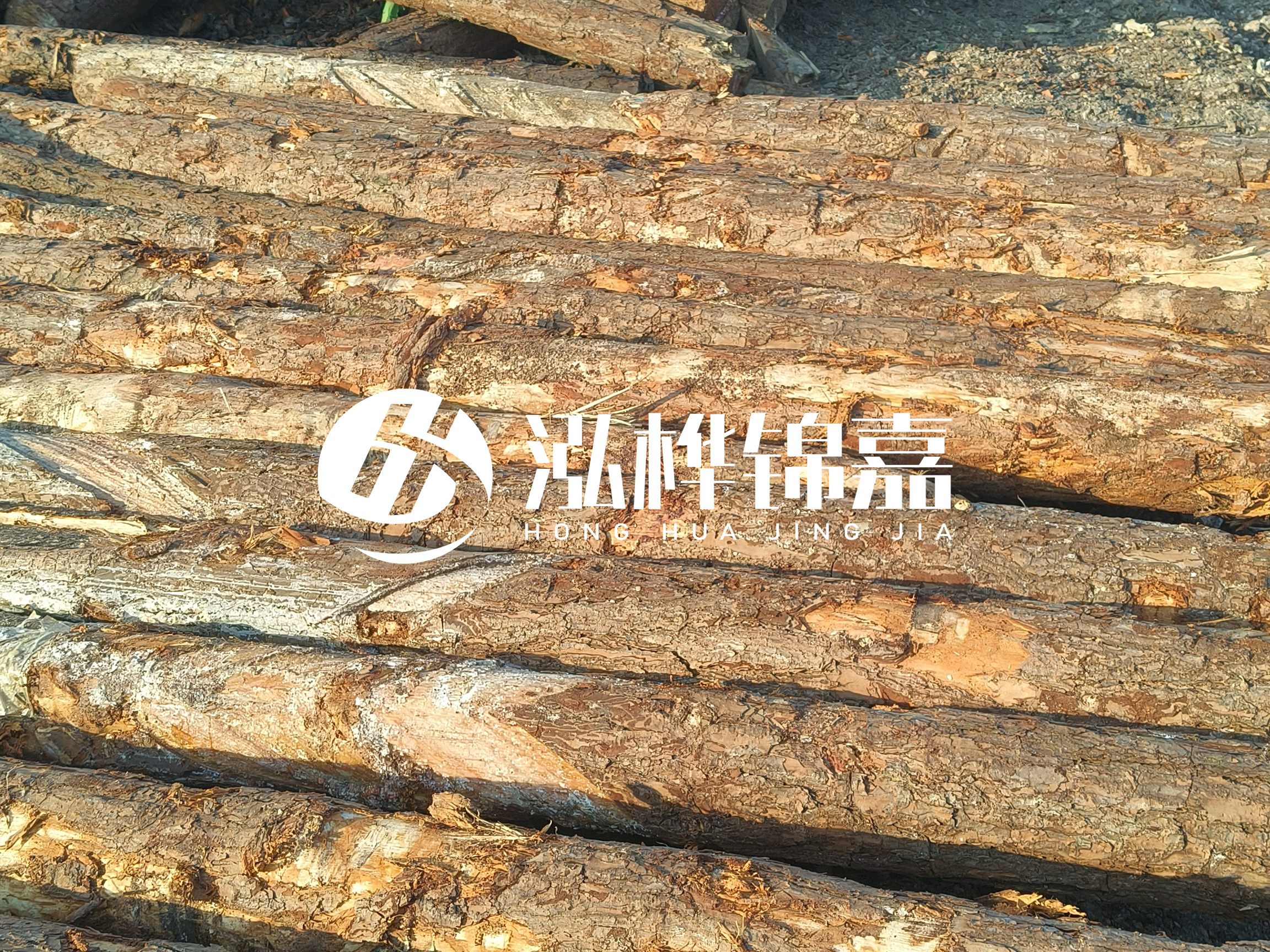 河道木樁的含水率過高會有什么問題？怎么檢查松木樁含水率？