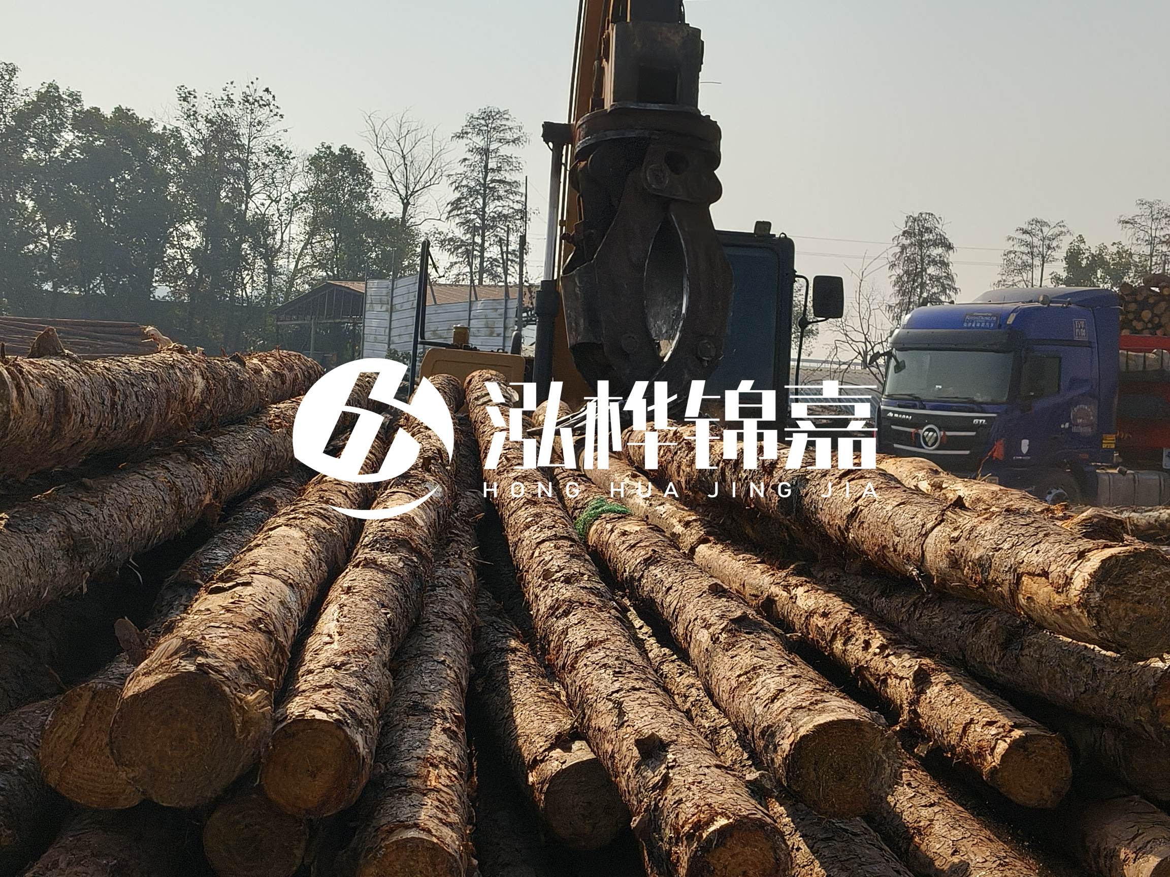 松木樁可以用來做什么？常用于哪些工程？