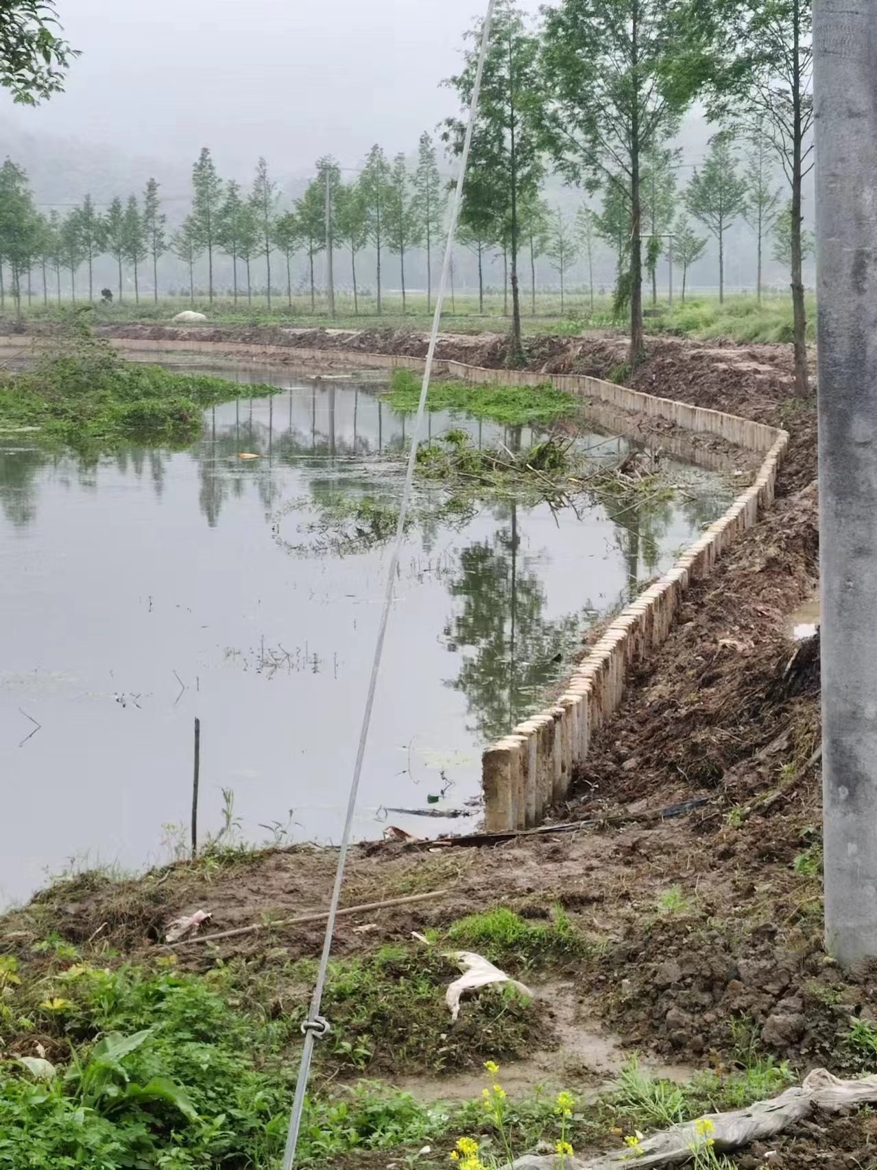 湖南水泥樁施工隊泓樺錦嘉-打水泥樁需要注意哪些事項？