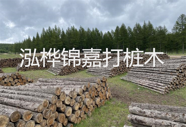 預(yù)制松木樁施工工藝：優(yōu)質(zhì)材料，高效快速，堅固耐用