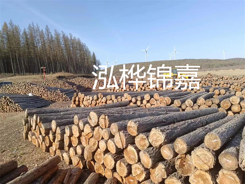 用路基松木樁施工方案提升工程質(zhì)量描述：了解路基松木樁施工方案的重要性，提高工程質(zhì)量關(guān)鍵詞：路基松木樁，施工方案，工程質(zhì)量