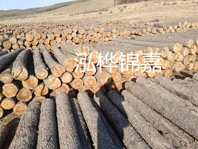 鹽城松木樁河道圍堰施工，保護生態(tài)環(huán)境，打造美麗城市