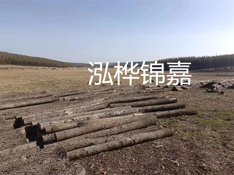 鄂州松木樁哪里好？推薦泓樺錦嘉松木樁業(yè)！